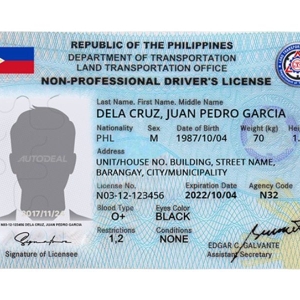 中国人假冒菲律宾身份办理公司文件以及驾照被捕