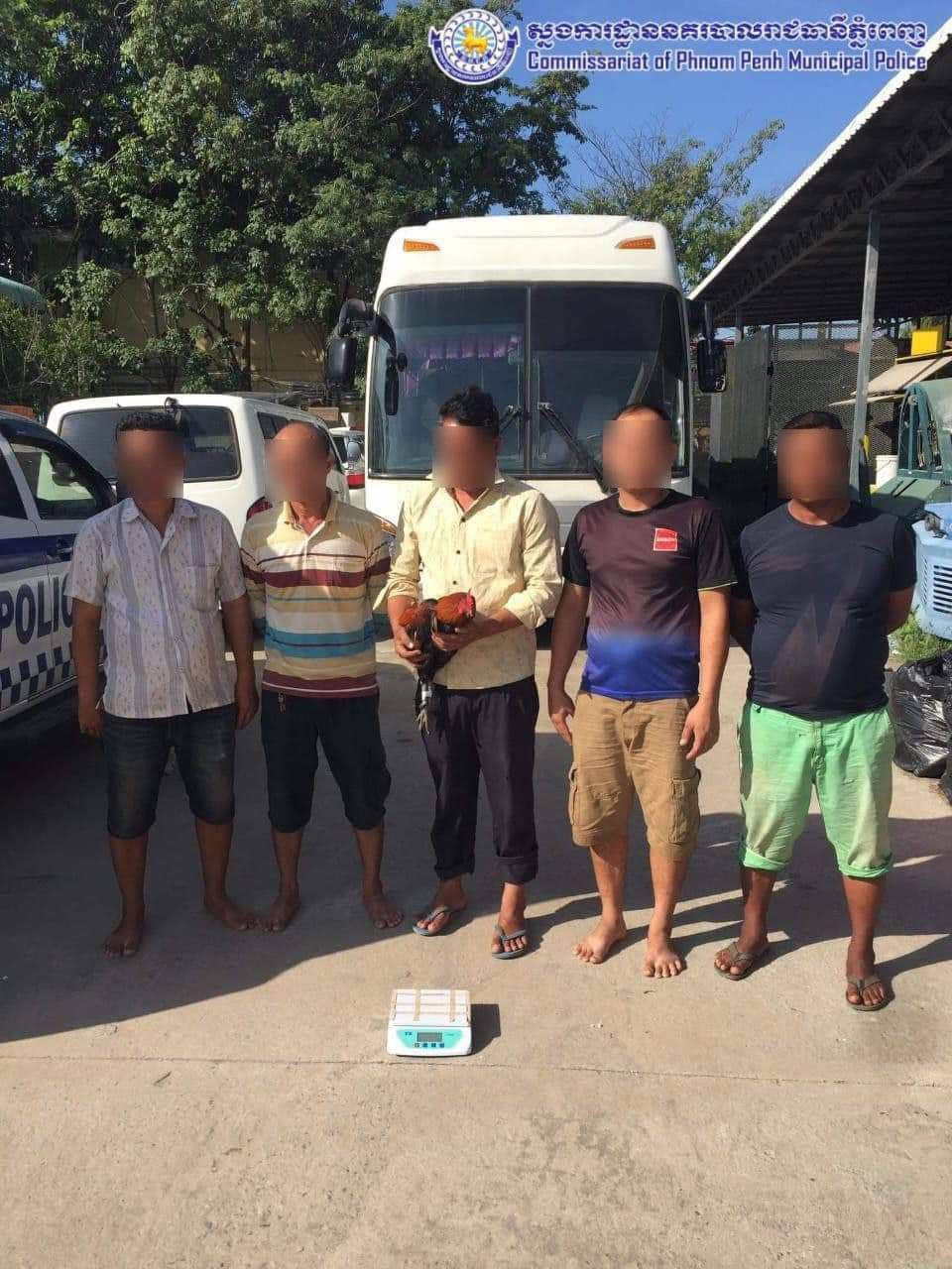 涉嫌斗鸡，柬埔寨5名赌徒被捕