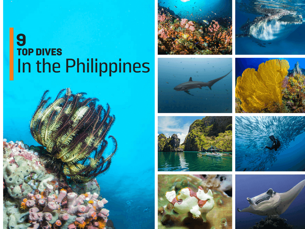 菲律宾海岛被评为亚洲最佳潜水胜地