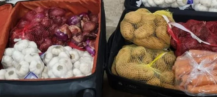 菲律宾洋葱价格疯涨，机组人员带洋葱回国被控走私！